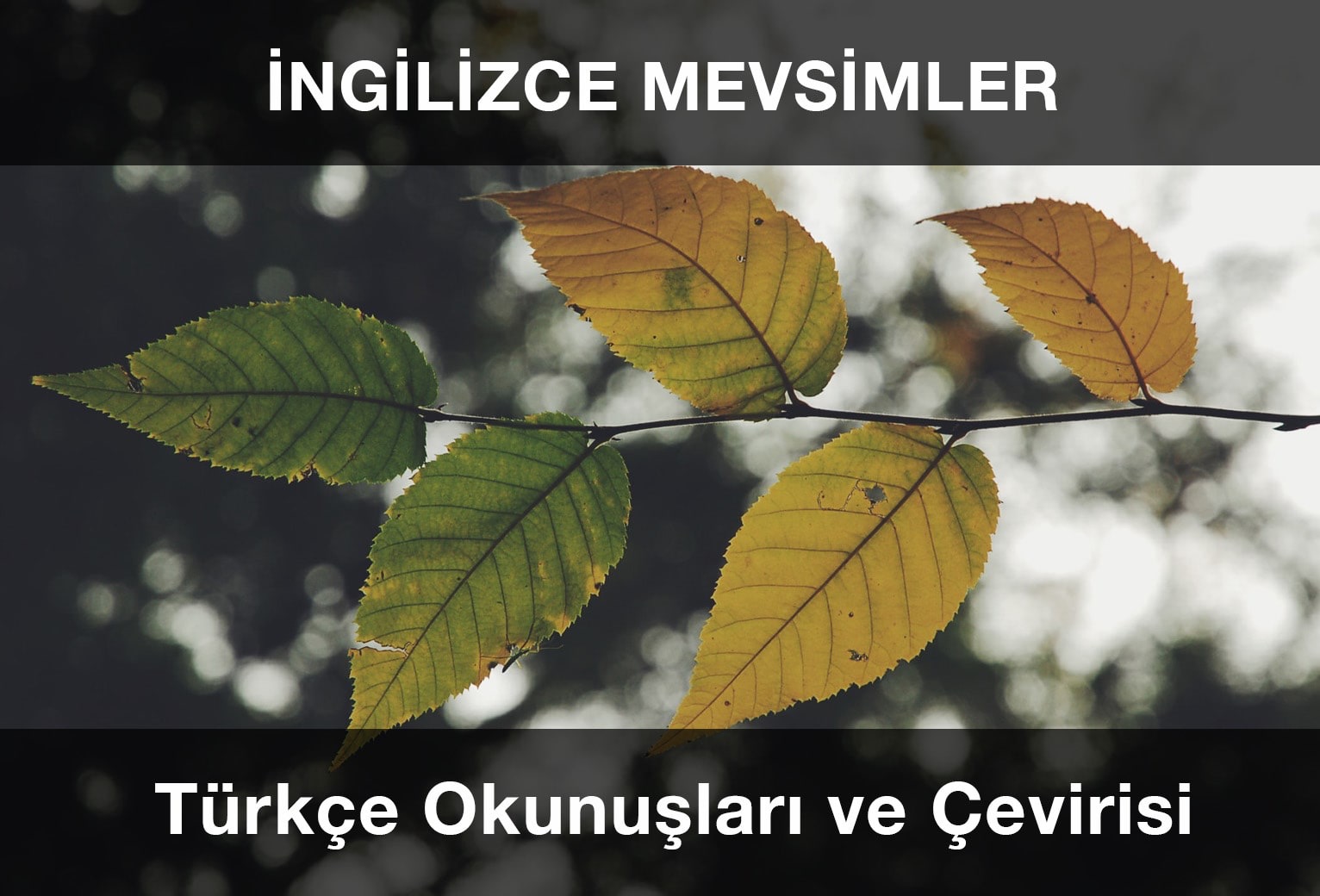 İngilizce Mevsimlerin Yazılışı ve Okunuşu