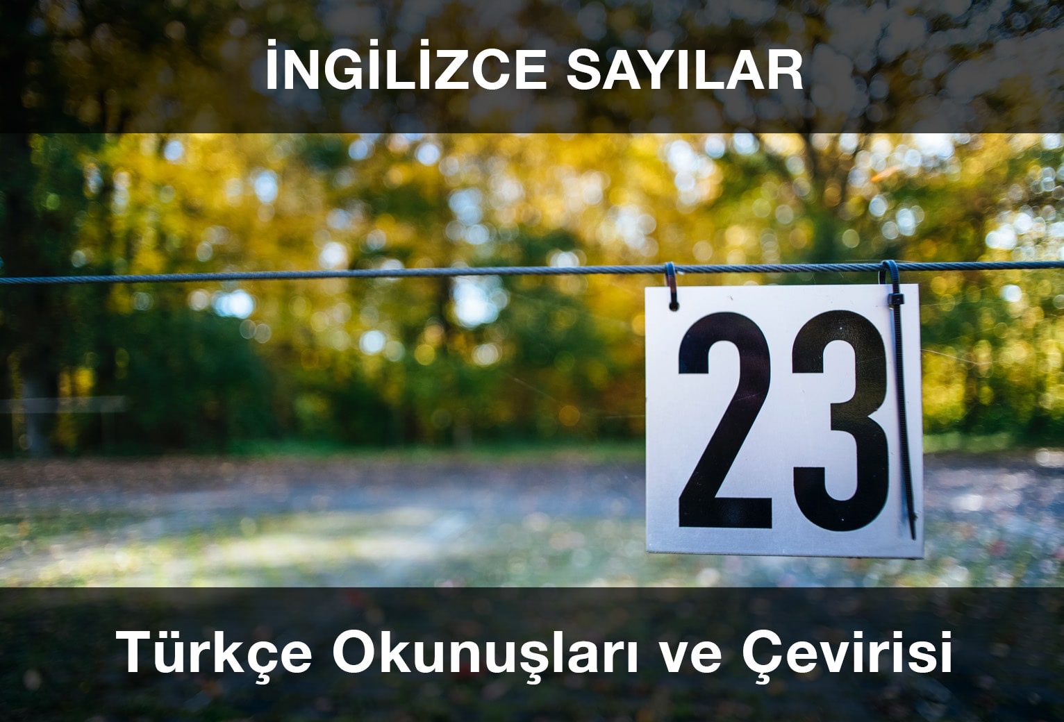 İngilizce Sayılar: 1'den 100'e Kadar Yazılışı, Okunuşu ve Sesli Telaffuzu