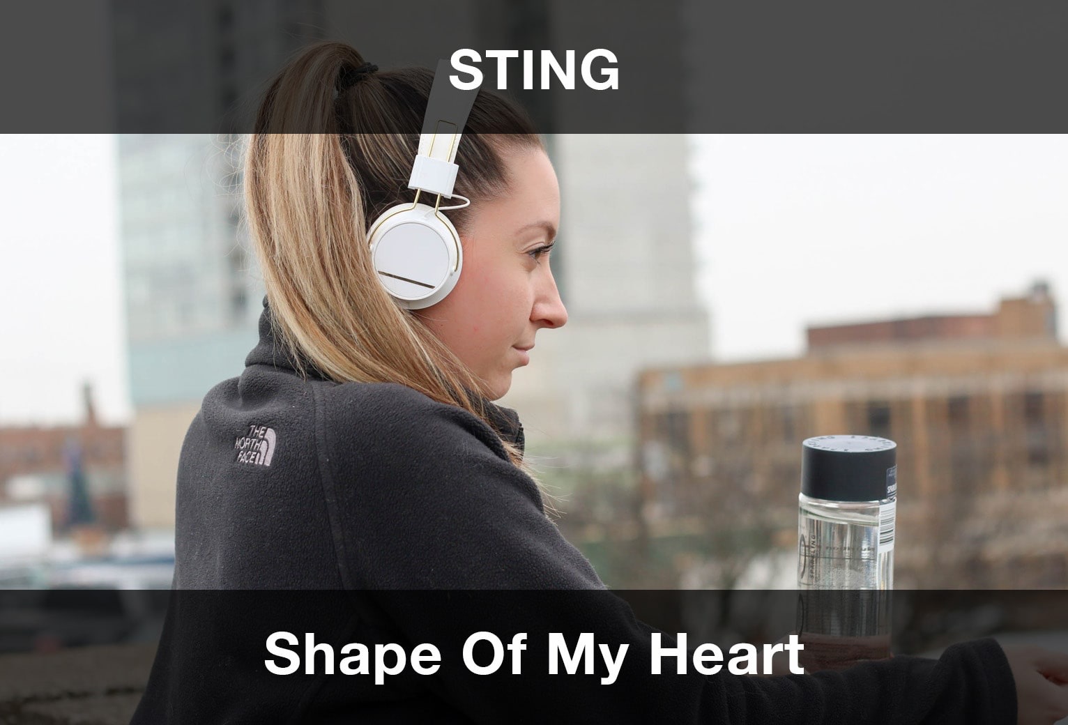 Sting - Shape of My Heart Şarkı Sözleri Çeviri