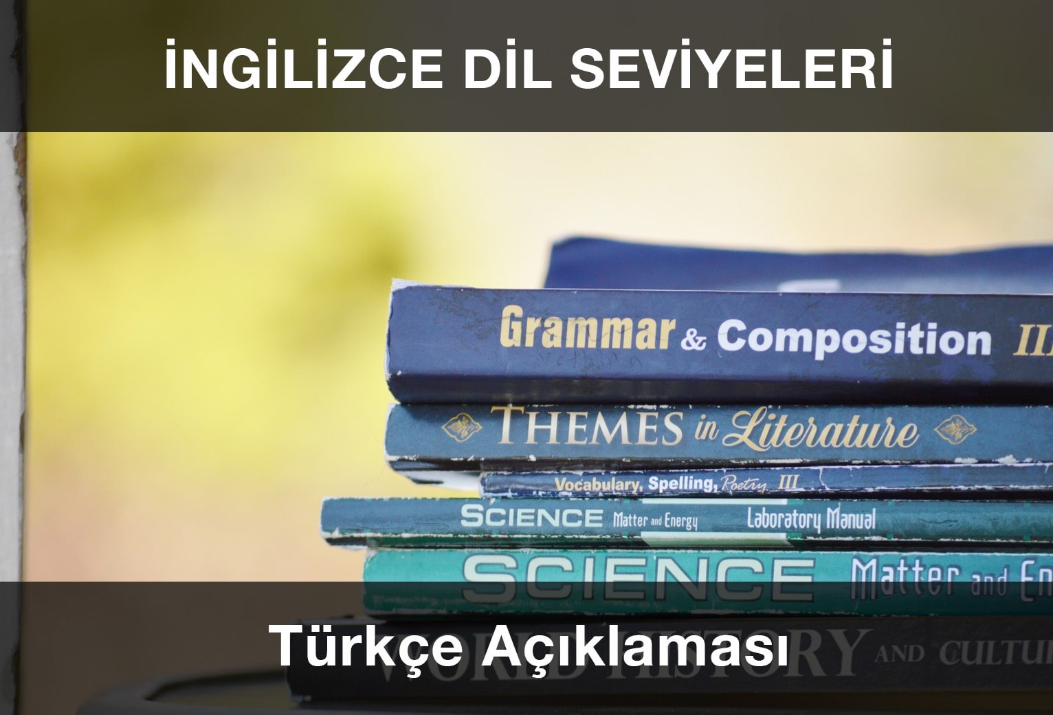 İngilizce Dil Seviyeleri ve Açıklamaları