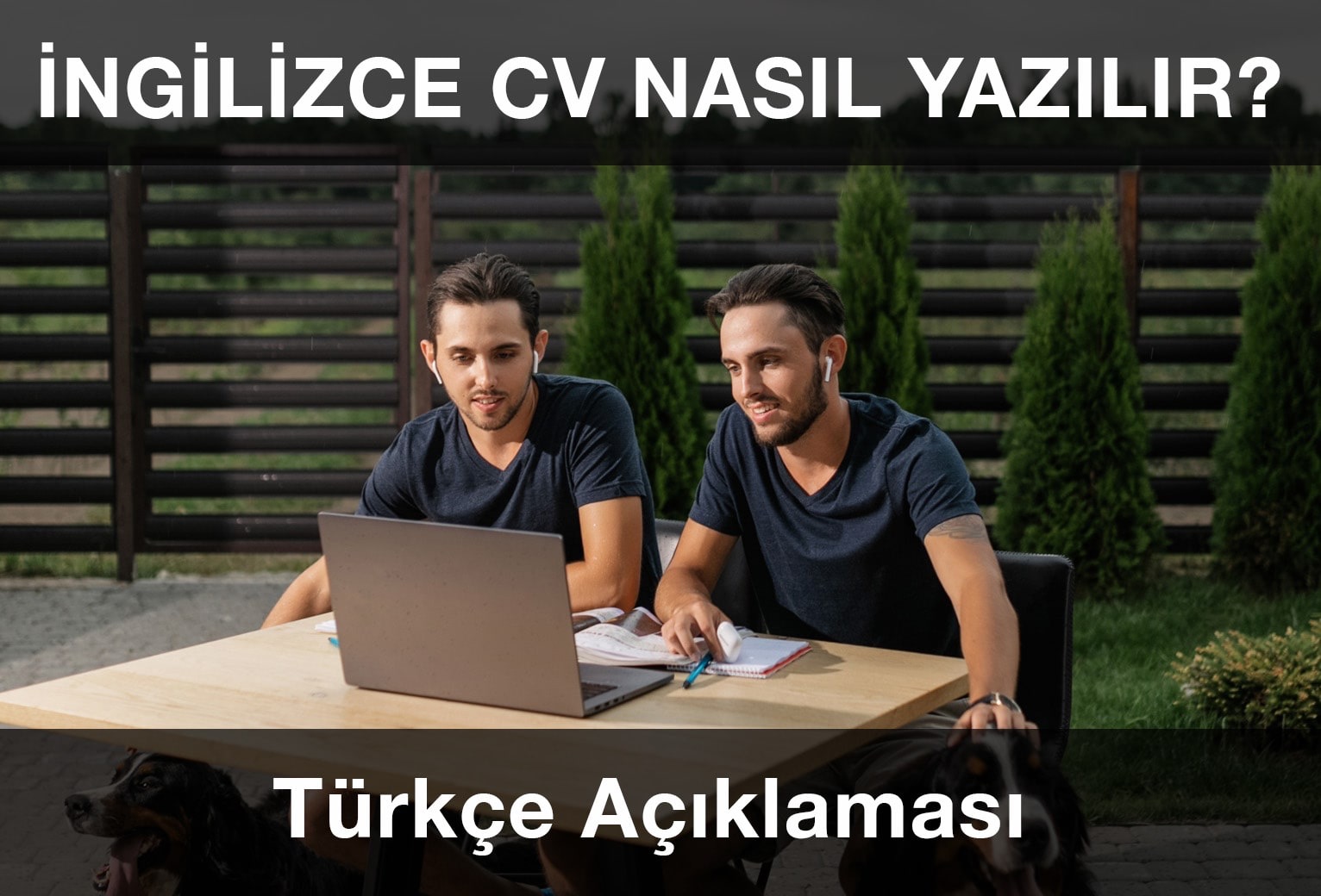 İngilizce CV Nasıl Yazılır?