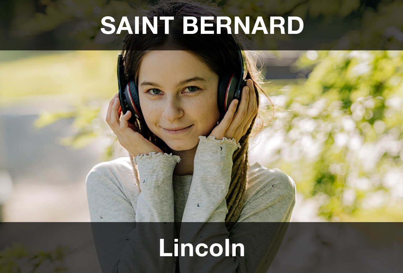 Lincoln - Saint Bernard Şarkı Sözleri Türkçe Çeviri