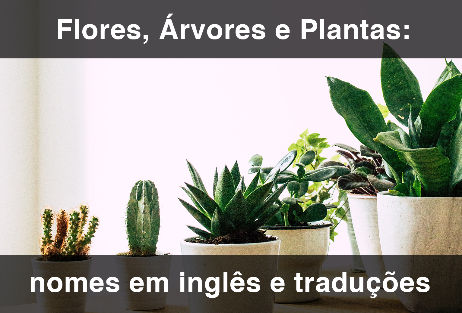 Flores, Árvores e Plantas em Inglês! (2023 Atualizado) - EnglishCentral Blog