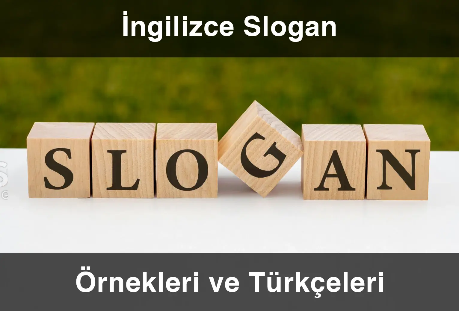 Çevreyi korumak ile ilgili sloganlar ingilizce