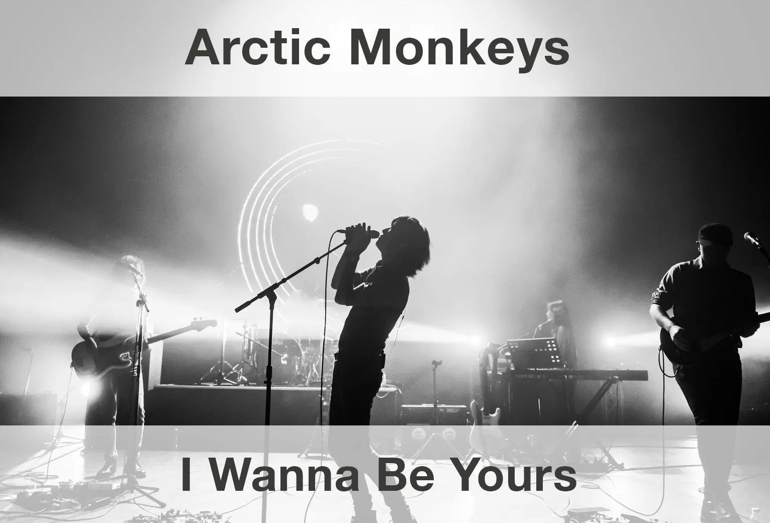 Arctic Monkeys- I Wanna Be Yours Şarkı Sözleri Çeviri